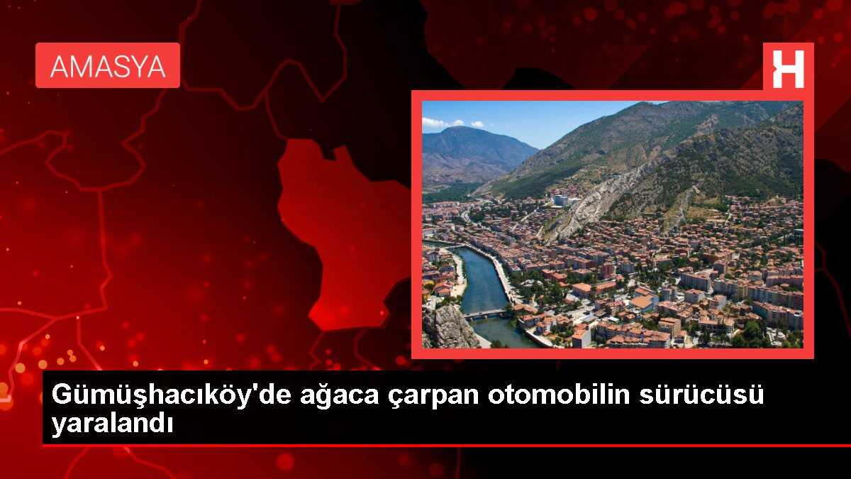 Gümüşhacıköy'de ağaca çarpan otomobilin sürücüsü yaralandı