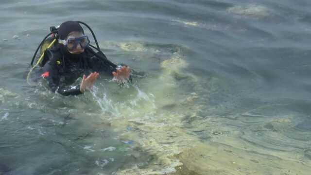 Müsilaj kabusu geri mi döndü? Marmara'da çekilen görüntü endişe yarattı