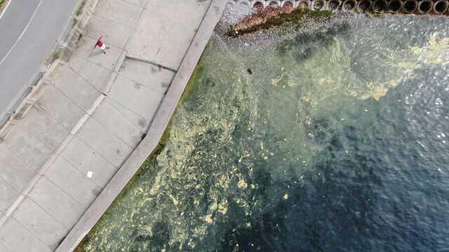 Müsilaj kabusu geri mi döndü? Marmara'da çekilen görüntü endişe yarattı