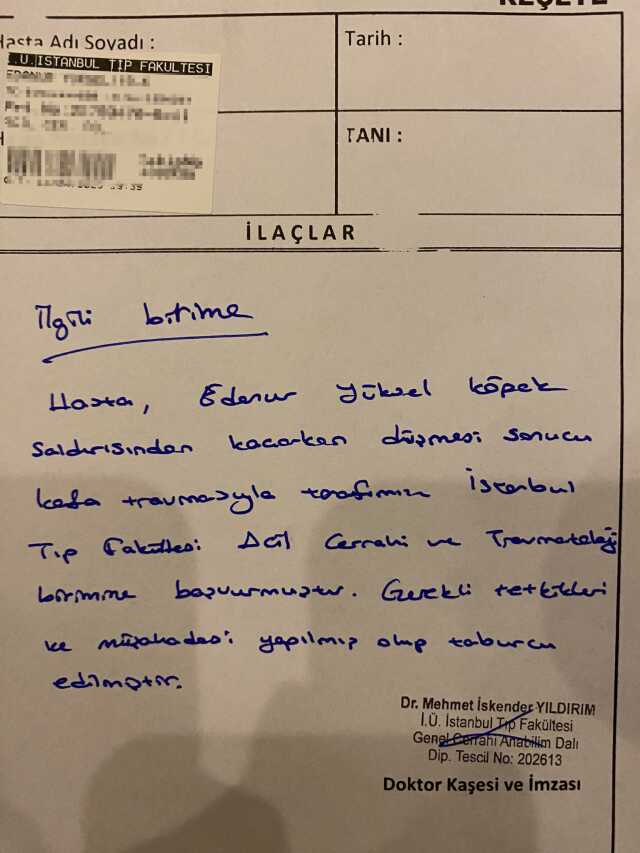 Yıldız Teknik Üniversitesi'nde rezalet! Başıboş köpekler öğrenciye saldırdı Yıldız Teknik Üniversitesi'nde rezalet! Başıboş köpekler öğrenciye saldırdı