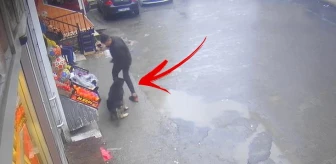 Yer: Zonguldak! Başıboş köpek çocuğa böyle saldırdı