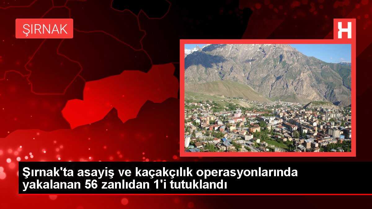Şırnak'ta asayiş ve kaçakçılık operasyonlarında yakalanan 56 zanlıdan 1'i tutuklandı