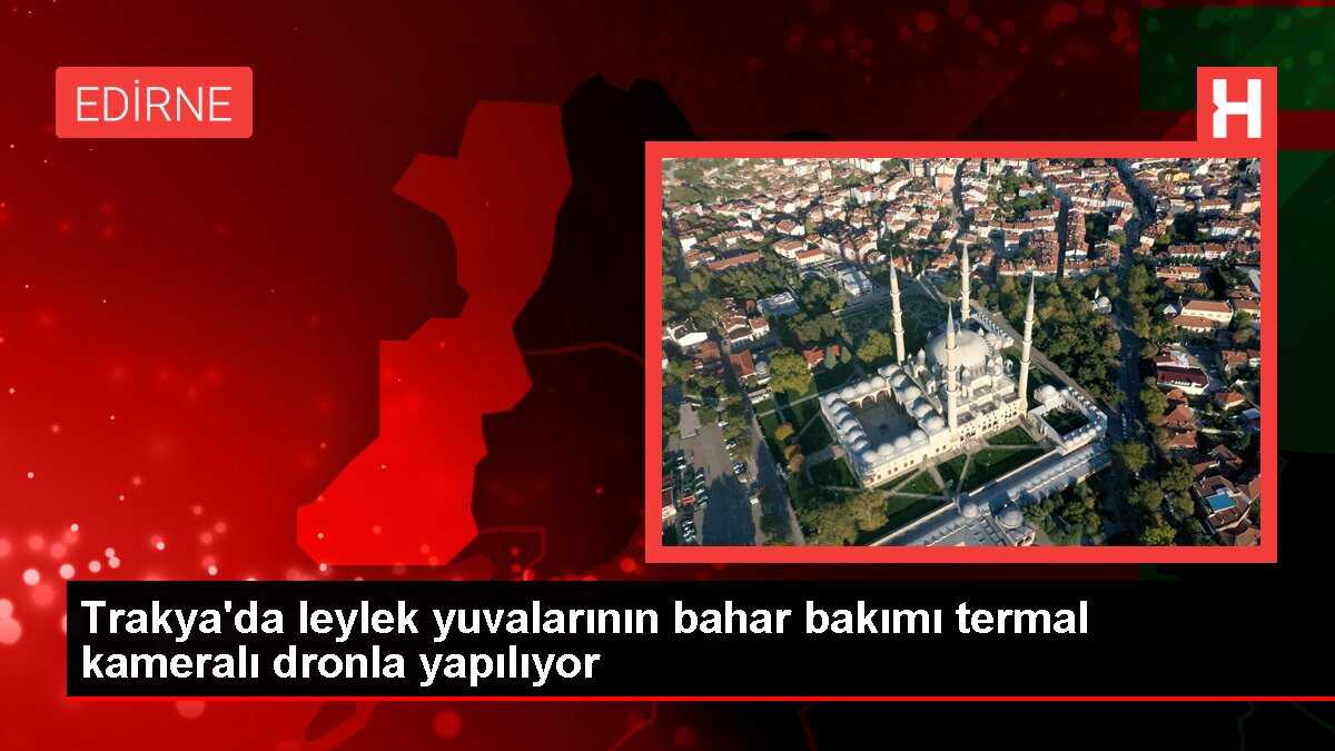 Trakya'da leylek yuvalarının bahar bakımı termal kameralı dronla yapılıyor