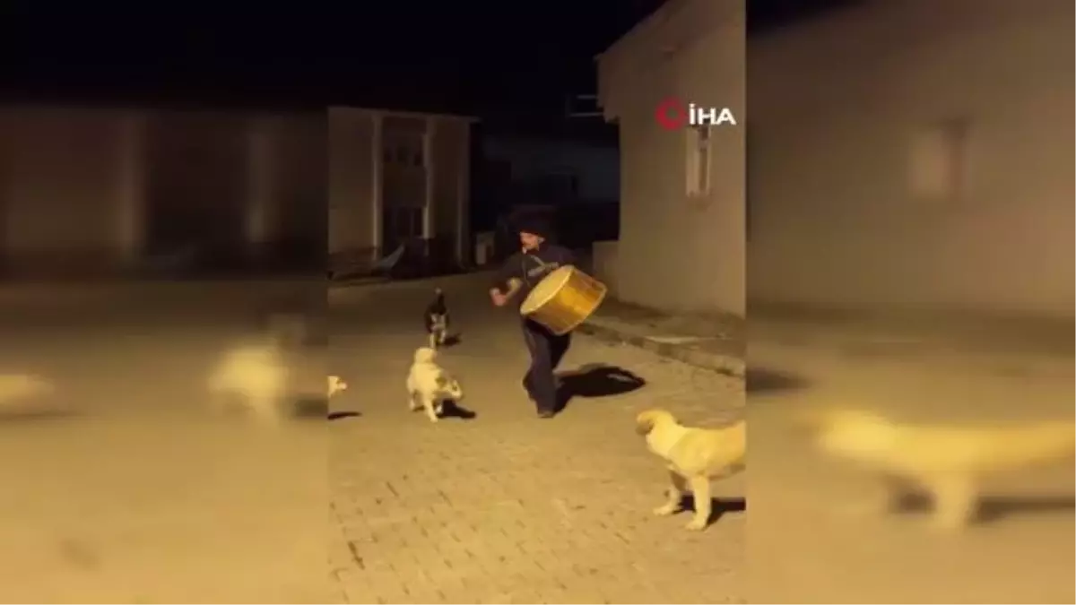 Vatandaşları sahura sokak hayvanları ile birlikte kaldırıyor