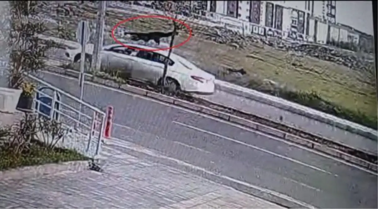 Diyarbakır'da otomobilin çarptığı kadın hayatını kaybetti; kaza anı kamerada