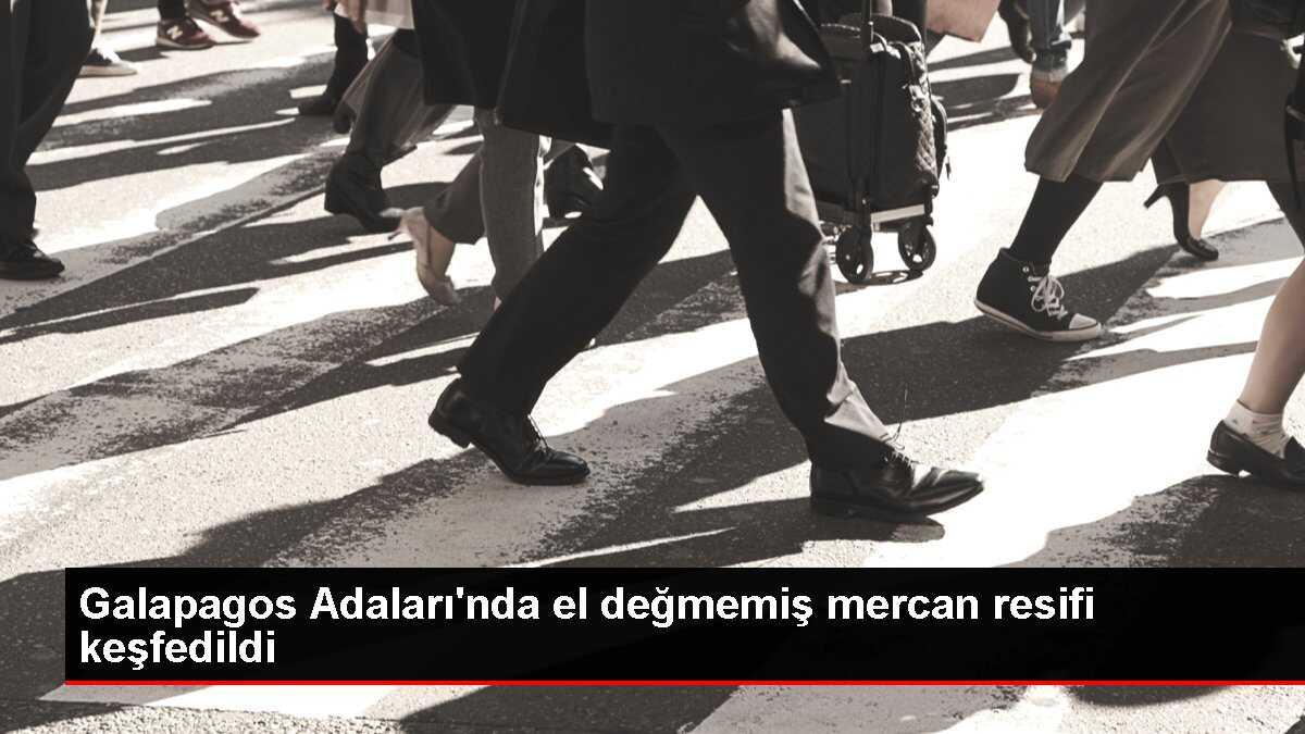 Galapagos Adaları'nda el değmemiş mercan resifi keşfedildi