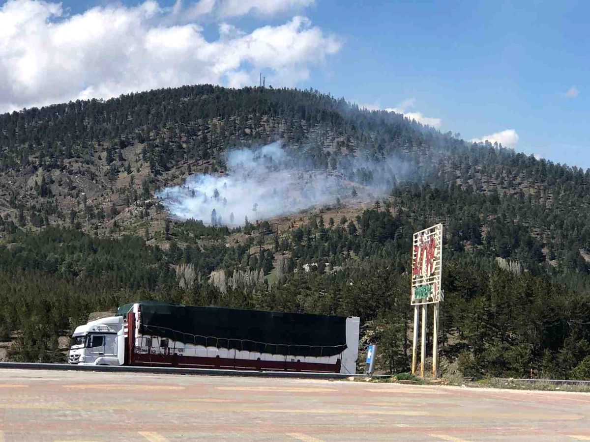 Konya'da ormanlık alanda yangın başladı