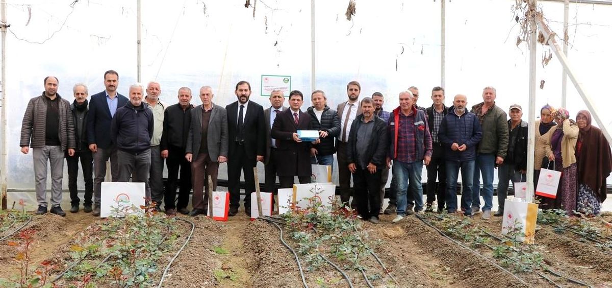 Yalova'da kesme gül zararlısına karşı mavi yapışkan tuzak dağıtıldı