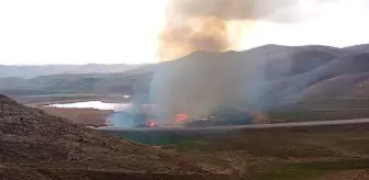 Dikkuyruk ördeklerinin üreme alanı sazlık yandı