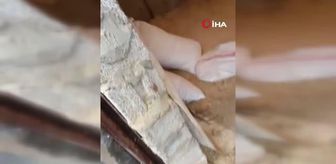 Diyarbakır'da sağanak yağış sonrası dolu etkisini gösterdi