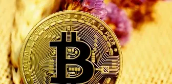 Kripto para borsası güne kırmızı ışıklarla uyandı