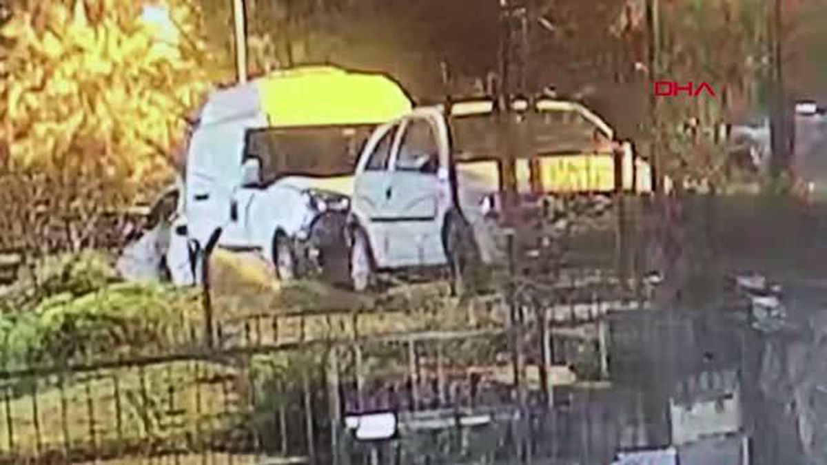 ÜSKÜDAR'DA SOKAK KÖPEĞİNE SİLAHLI SALDIRI