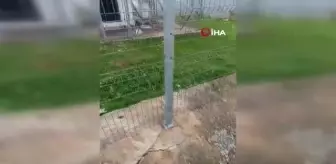 Siirt'te fırtınadan devrilen direk fıstık ağaçlarının üstüne düştü