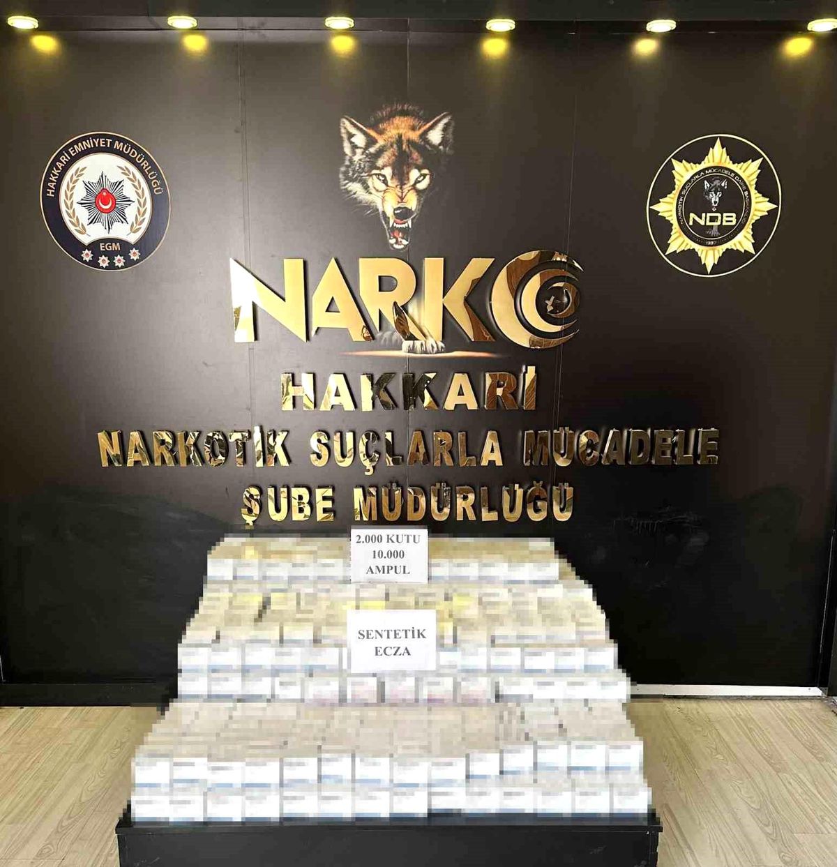 Yüksekova'da 10 bin ampul sentetik ecza ele geçirildi