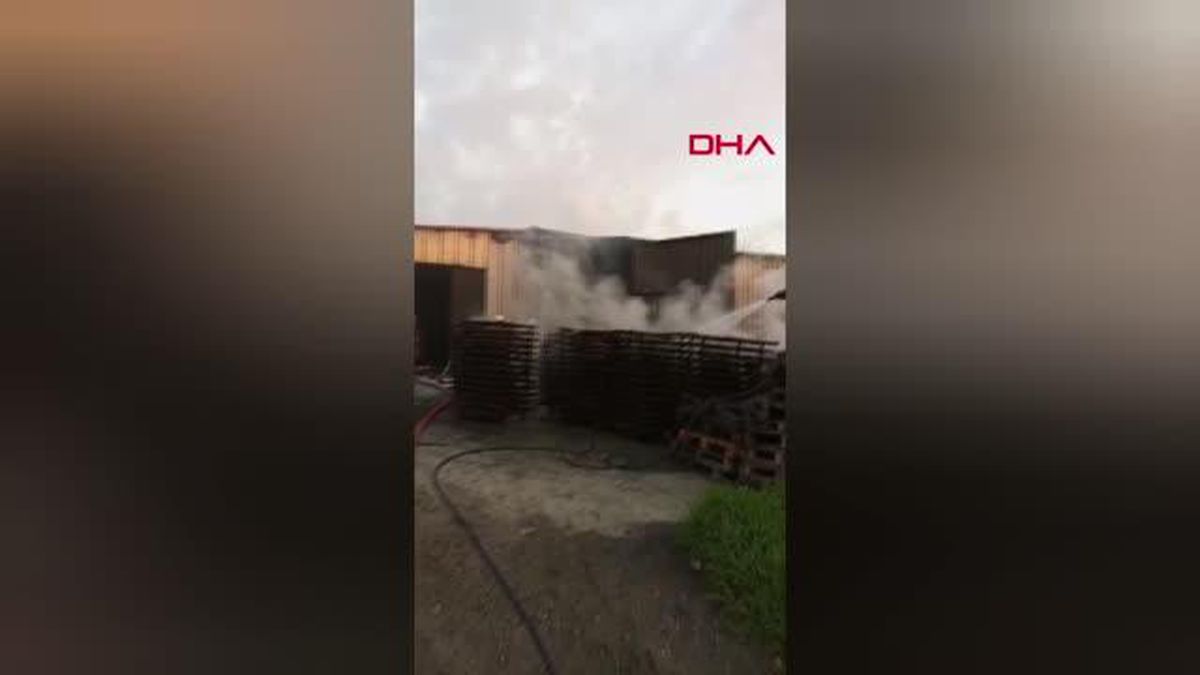 SİLİVRİ'DE MANGAL KÖMÜRÜ ÜRETİM TESİSİNDE YANGIN
