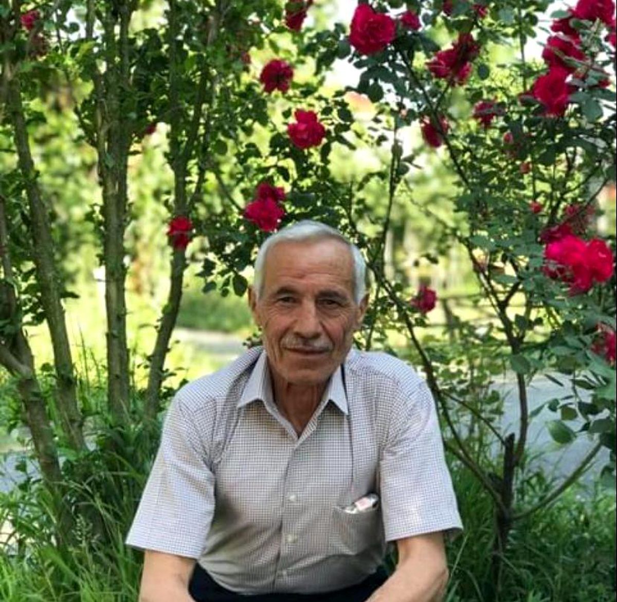 Giresun'da üç ayrı kaza: 4 ölü, 3 yaralı