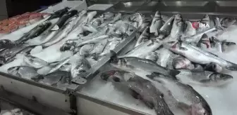 Balık tezgahlarını havuz balıkları süslüyor