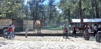 Faciadan dönülen hayvanat bahçesinde önlemler artırıldı