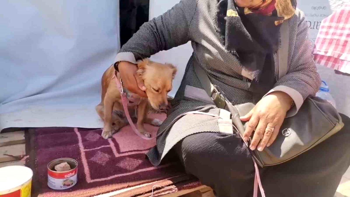 Kahramanmaraş'ta depremde kendisini kurtaran köpeğiyle beraber çadır kentte yaşamını sürdürüyor