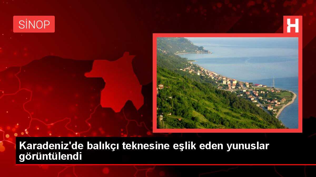 Karadeniz'de balıkçı teknesine eşlik eden yunuslar görüntülendi