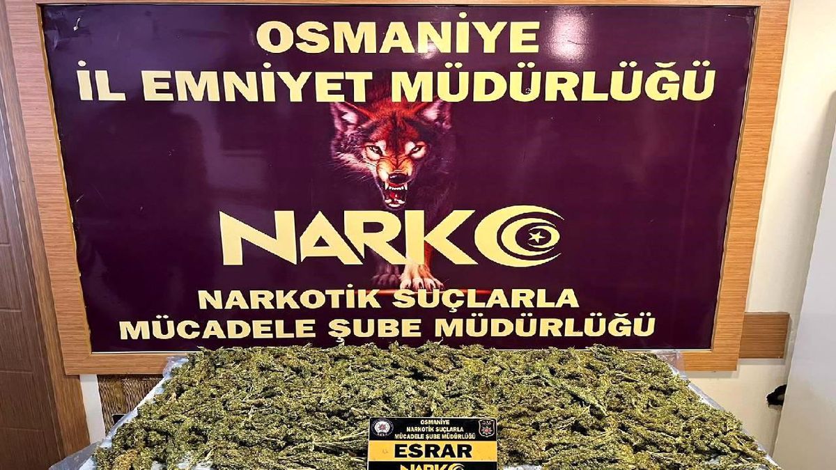 Osmaniye'de uyuşturucu operasyonları: 20 gözaltı