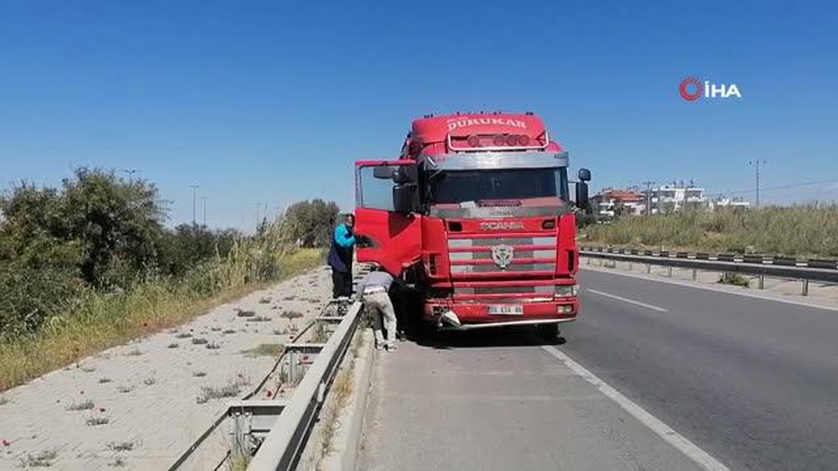Park halindeki otomobilin sürücüsü dehşeti yaşadı