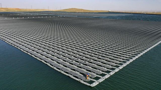 Portekiz Yenilenebilir Enerji Birliği Başkanı: Çin ile Güneş Enerjisi Alanında İşbirliğimizin Artmasını Umuyoruz