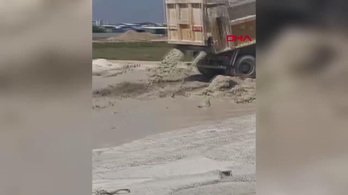 ÜZERLERİNE BETON ATIK SUYU DÖKÜLEN 3 YAVRU KÖPEK HAYATINI KAYBETTİ