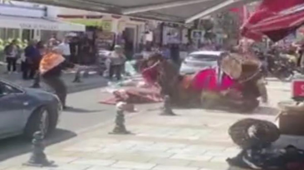 Yer: Türkiye! Otomobilden ürken deve ortalığı birbirine kattı