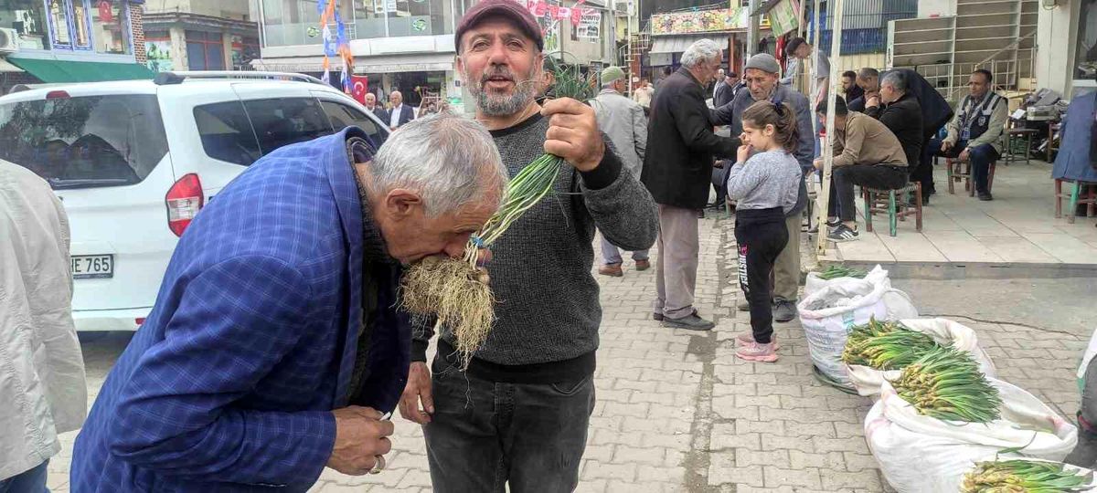 Yüksek dağlarda yetişen ve birçok hastalığa iyi geldiği belirtilen 'zuzubak' otu yok satılıyor