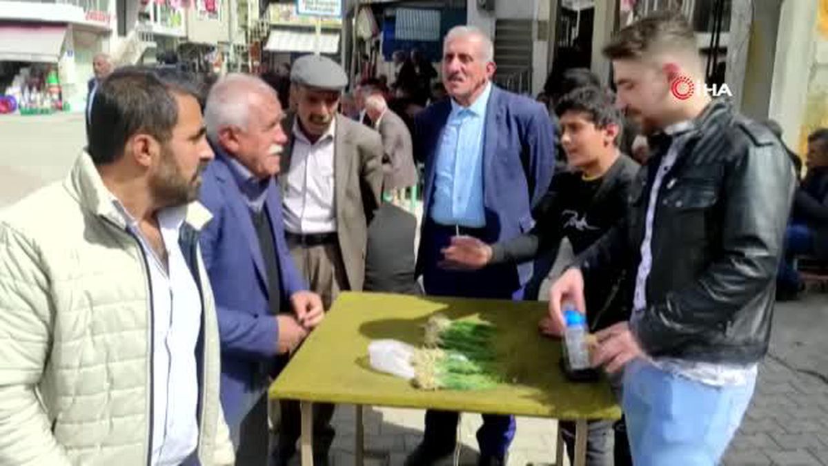 Yüksek dağlarda yetişen ve birçok hastalığa iyi geldiği belirtilen 'zuzubak' otu yok satıyor
