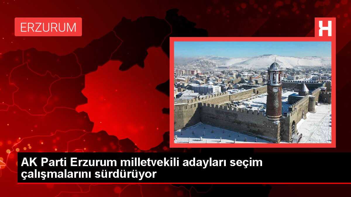 AK Parti Erzurum milletvekili adayları seçim çalışmalarını sürdürüyor