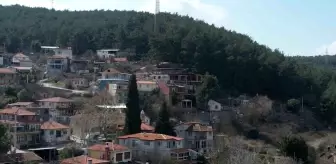 Asırlık camiye ve ormanlarına gözü gibi bakıyorlar