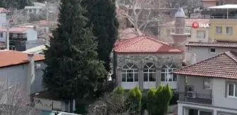 Asırlık camiye ve ormanlarına gözü gibi bakıyorlar