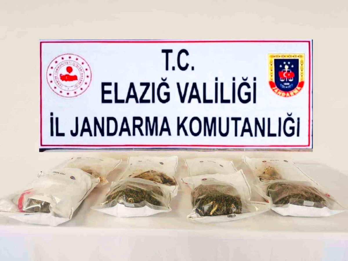 Elazığ'da jandarmadan uyuşturucu tacirlerine darbe