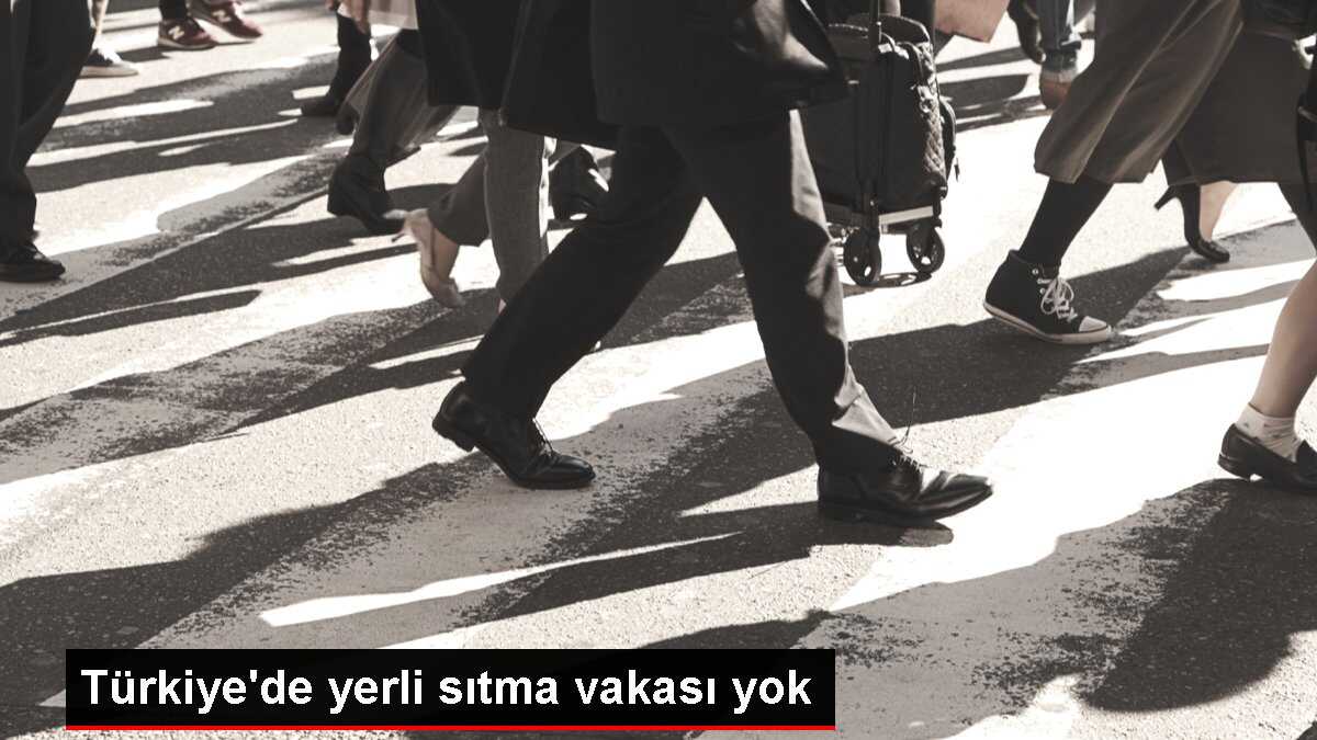 Türkiye'de yerli sıtma vakası yok