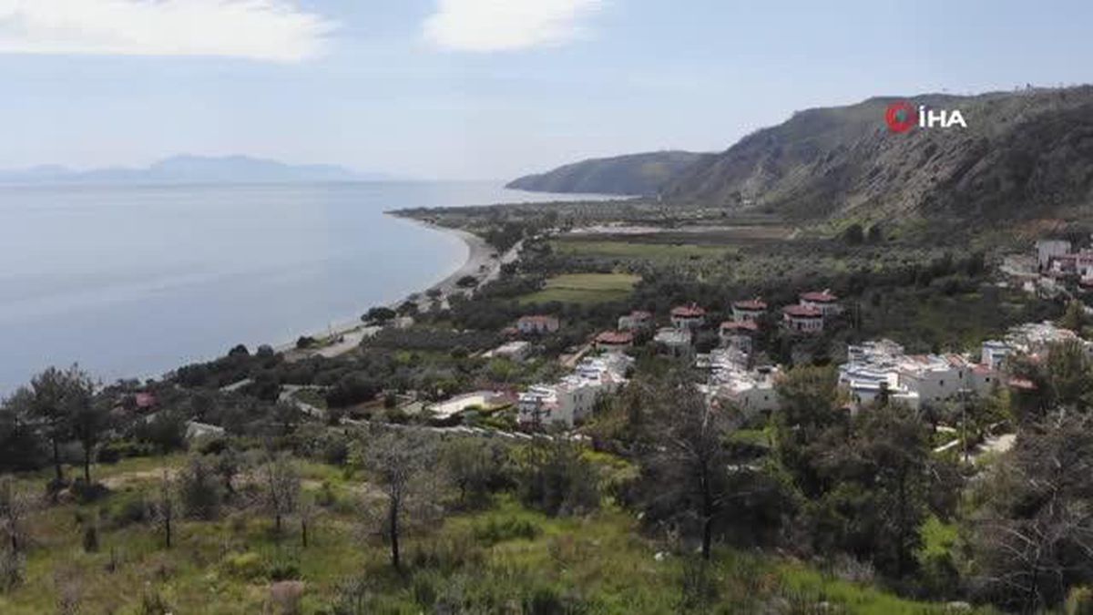 Yangın 60 bin hektarda etkili olmuştu... Türkülere konu olan Çökertme koyu küllerinden yeşeriyor