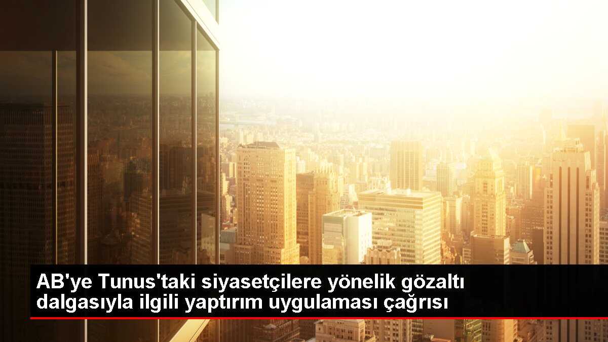 AB'ye Tunus'taki siyasetçilere yönelik gözaltı dalgasıyla ilgili yaptırım uygulaması çağrısı