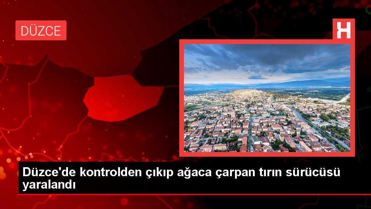 Düzce'de kontrolden çıkıp ağaca çarpan tırın sürücüsü yaralandı