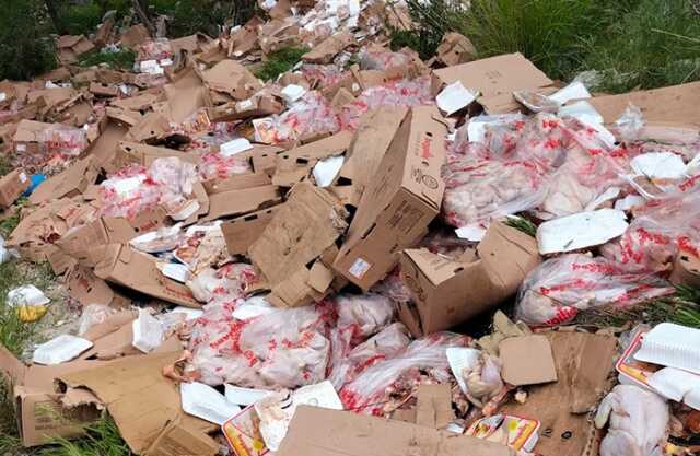 Hayvanseverleri ayağa kaldıran görüntüler! Kilolarca tavuğu ormana attılar Hayvanseverleri ayağa kaldıran görüntüler! Kilolarca tavuğu ormana attılar