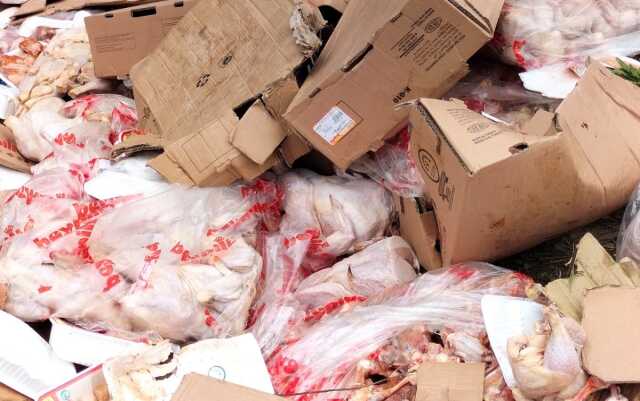 Hayvanseverleri ayağa kaldıran görüntüler! Kilolarca tavuğu ormana attılar Hayvanseverleri ayağa kaldıran görüntüler! Kilolarca tavuğu ormana attılar