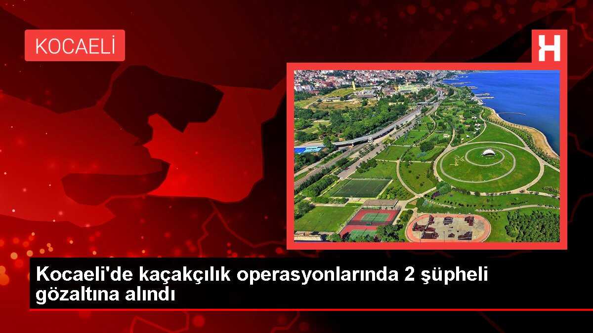 Kocaeli'de kaçakçılık operasyonlarında 2 şüpheli gözaltına alındı