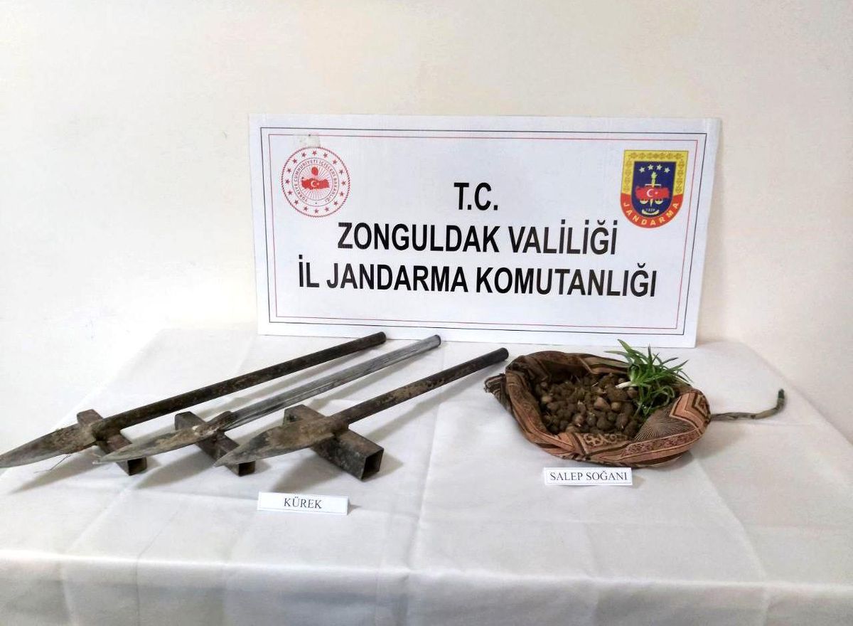 Salep soğanı toplarken yakalandılar