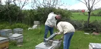 Siirt'te bahar yağmurları arıcıların yüzünü güldürdü