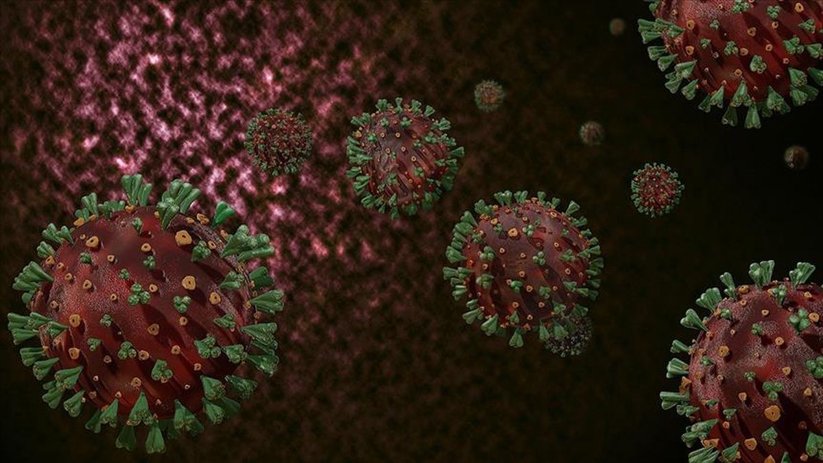 Gastroenterit nedir? Gastroenterit enfeksiyon nedir? Gastroenterit neden olur, tedavisi ne?