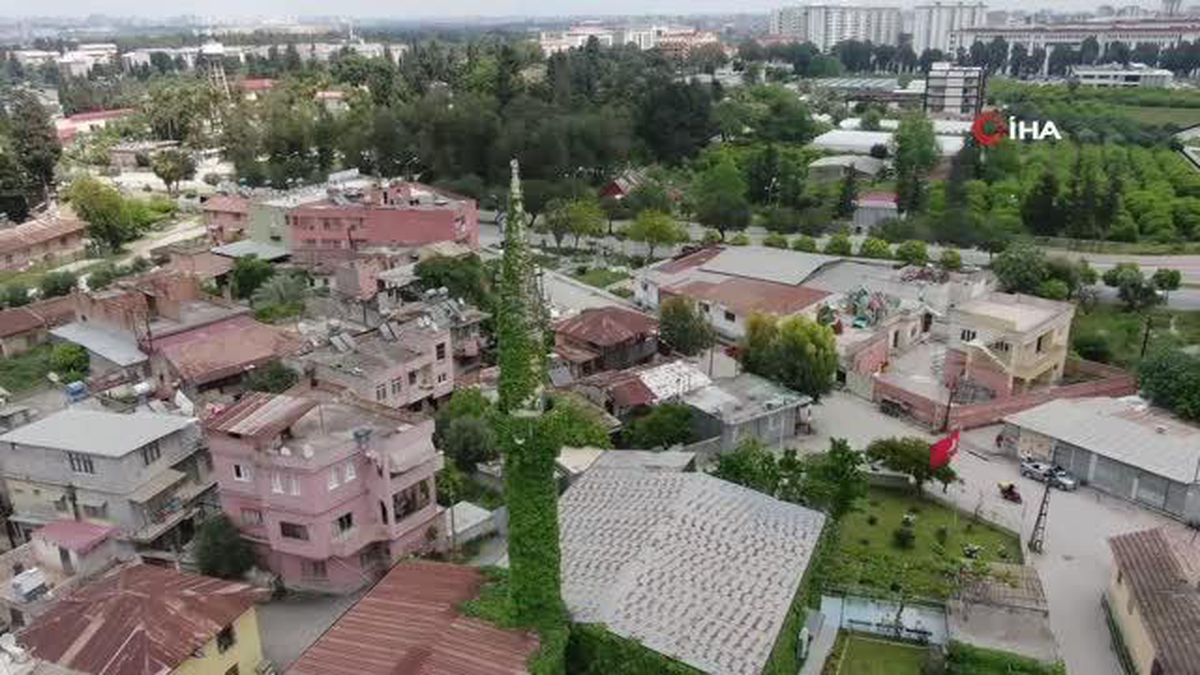 Görenlere huzur veren cami bu sene de sarmaşıklarına kavuştu