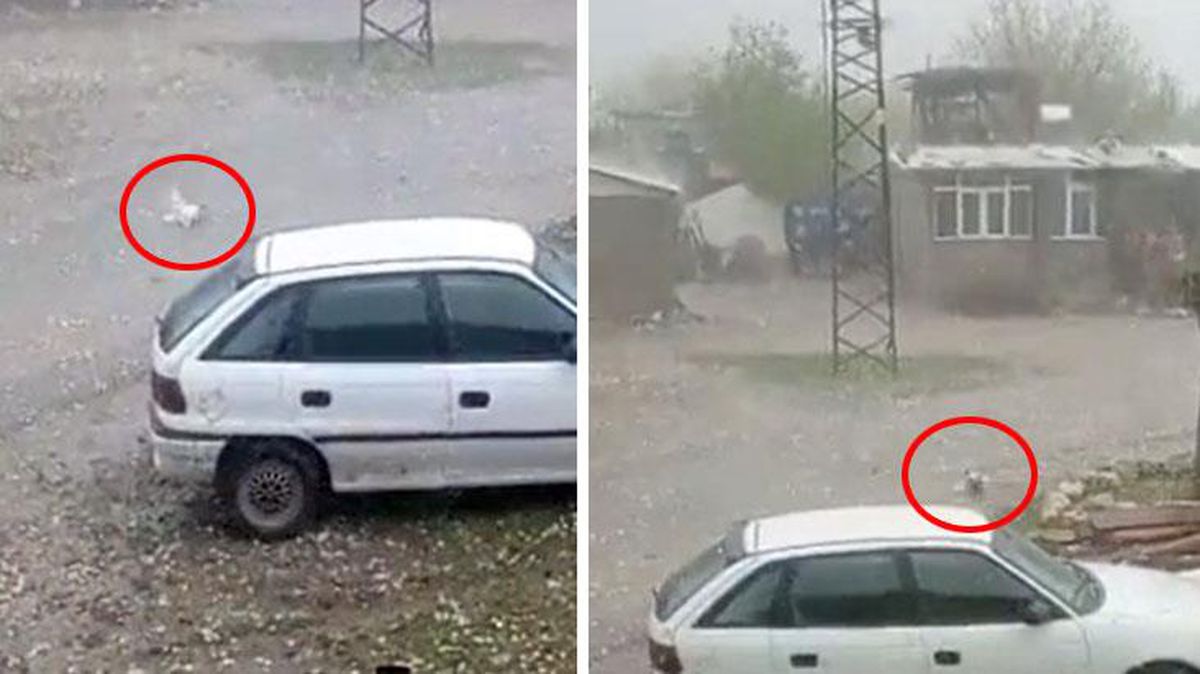 Olay Türkiye'de yaşandı! Vatandaşın tekbir getirerek kaydettiği görüntüye tepki yağıyor