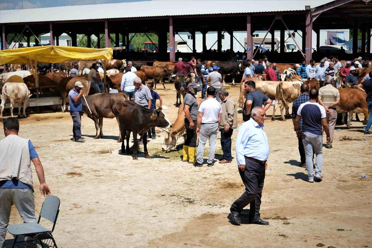 Hayvan hareketleri kısıtlaması 28 Nisan'da son buluyor