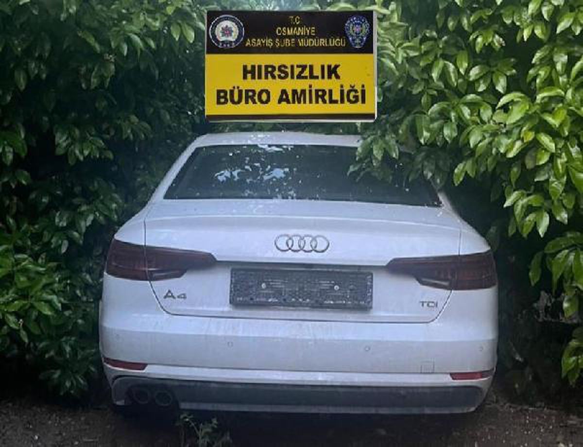Osmaniye'den çaldıkları otomobili, Adana'da portakal bahçesine terk ettiler