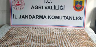 Doğubayazıt'ta Osmanlı dönemine ait 1245 altın sikke bulundu